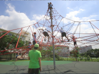 climbing the web